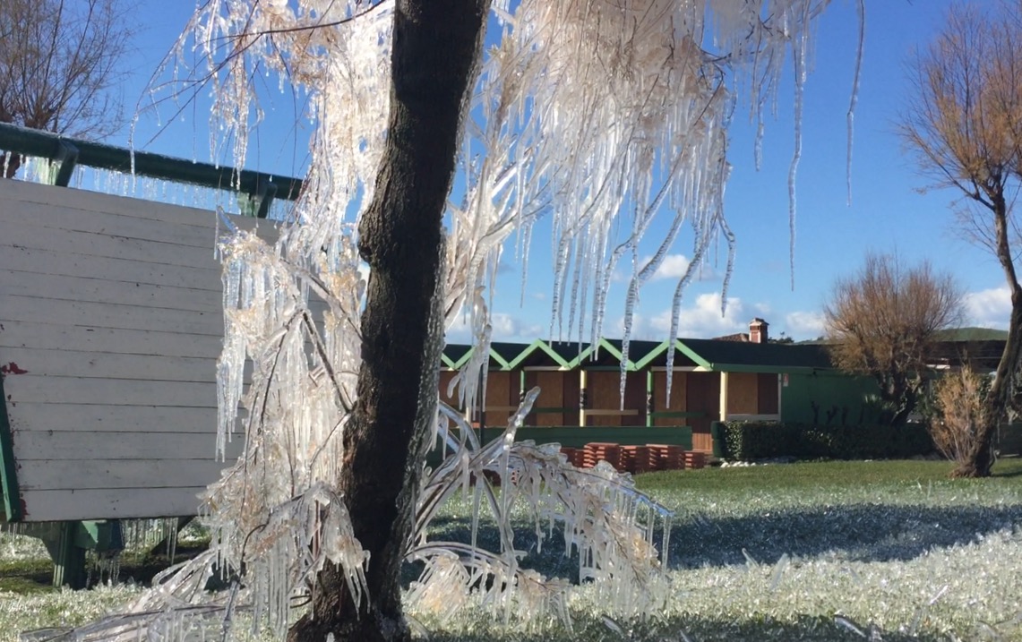 Il giardino di cristallo a Ostia